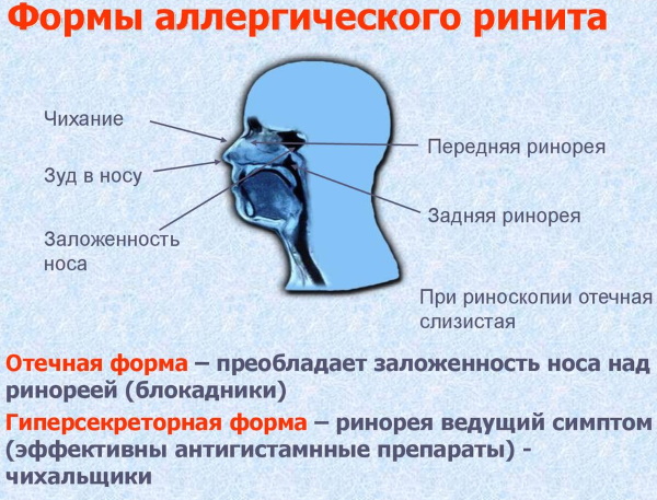 Зодак (Zodac) капли. Показания к применению