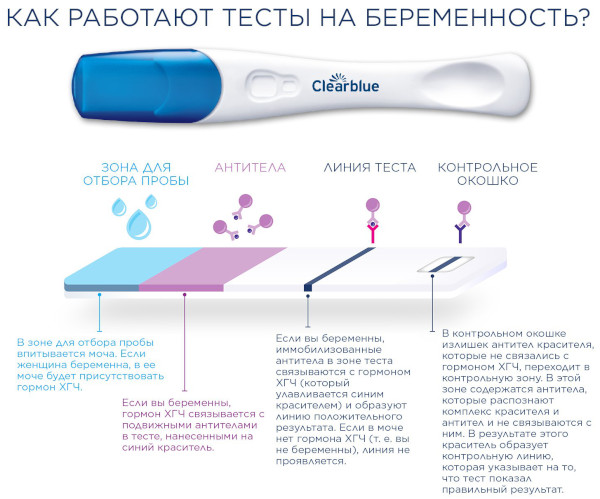 Многоразовый тест на беременность электронный. Цена