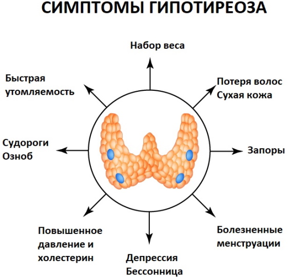 Мягкая грудь. Причины, почему стала мягкой, если одна твердая, а другая мягкая