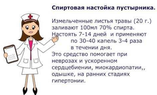 Народные средства от гипертонии. Лечение в домашних условиях