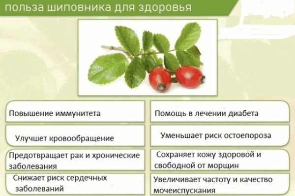 Народные средства от гипертонии. Лечение в домашних условиях
