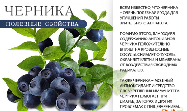 Народные средства от гипертонии. Лечение в домашних условиях