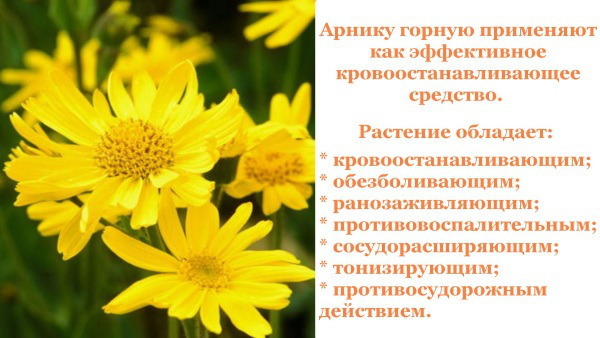 Народные средства от ушибов, гематом. Лучшие рецепты