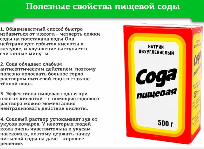 Ингаляции при бронхите у взрослых. Народные средства
