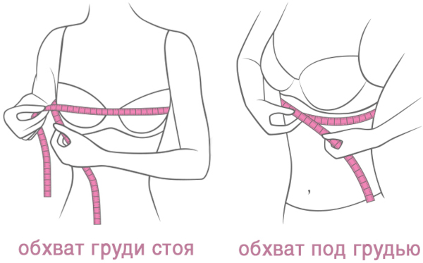 Нормальная женская грудь: размеры, как выглядит, форма, обхват