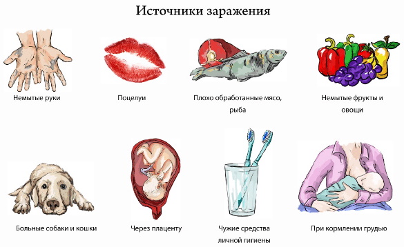 Паразитоз. Симптомы и лечение у взрослых, детей