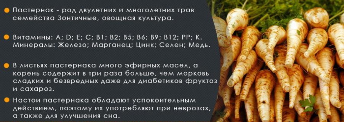 Пастернак растение. Польза и вред, применение