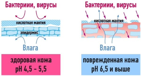 Ph кожи человека. Норма баланса лица, головы, волос, как определить