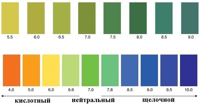 Ph кожи человека. Норма баланса лица, головы, волос, как определить