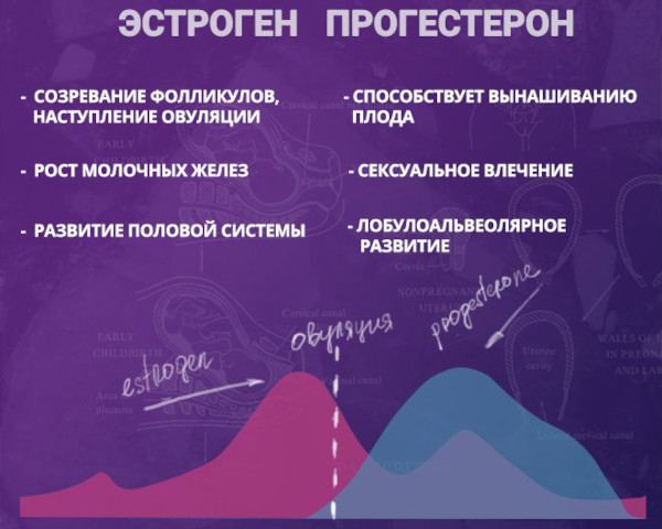 Большие соски и крупные ареолы груди у девушек. Причины