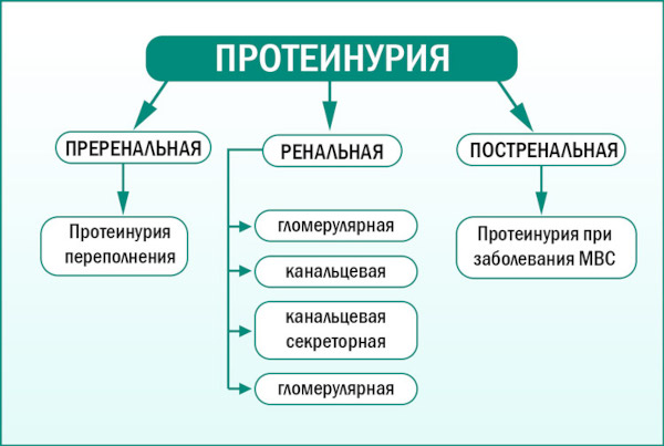 Почему моча желтая, ярко желтого лимонного цвета у женщин. Причины
