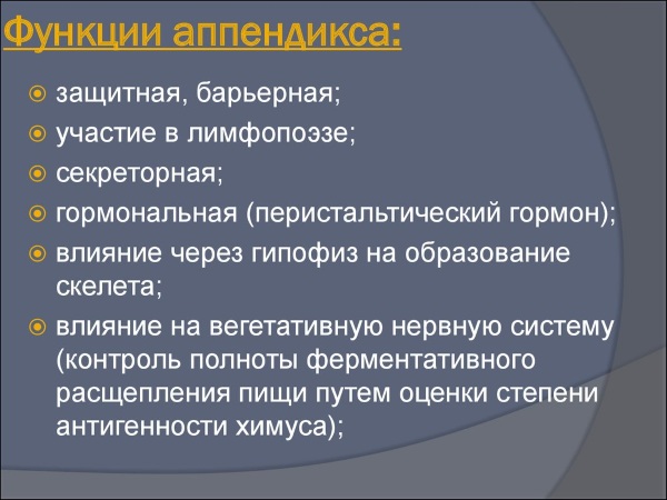 Подвздошная область. Где находится у человека правая/левая, как болит, причины