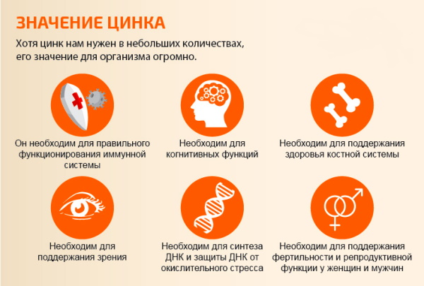 Лучшие препараты с цинком в аптеке. Цены, отзывы