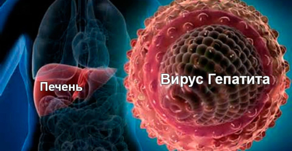 Прививка от гепатита А взрослым. Побочные эффекты