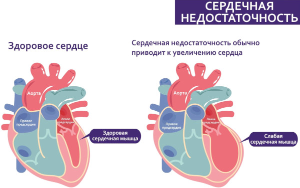 Прививка от гепатита А взрослым. Побочные эффекты