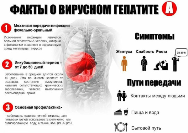 Прививка от гепатита А взрослым. Побочные эффекты
