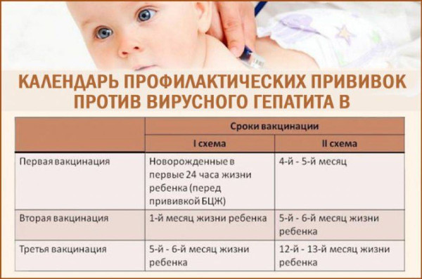 Прививки детям. График до 1 года по месяцам, таблица