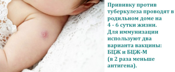 Прививки детям. График до 1 года по месяцам, таблица