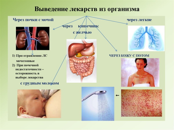 Трихопол при цистите у женщин. Инструкция по применению, дозировка