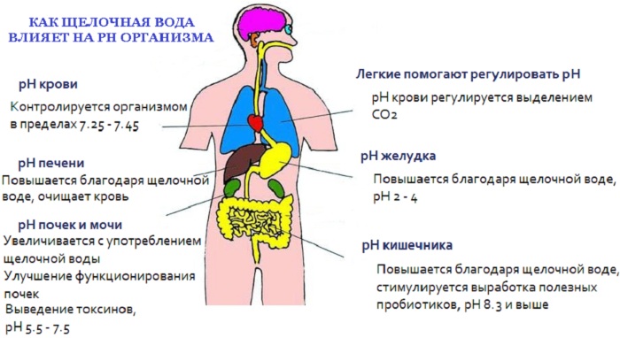 Щелочное питье. Что это такое, как приготовить