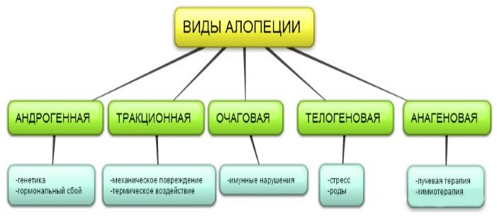 Сильно выпадают волосы у женщин. Причины и лечение народными средствами, препаратами, витаминными комплексами