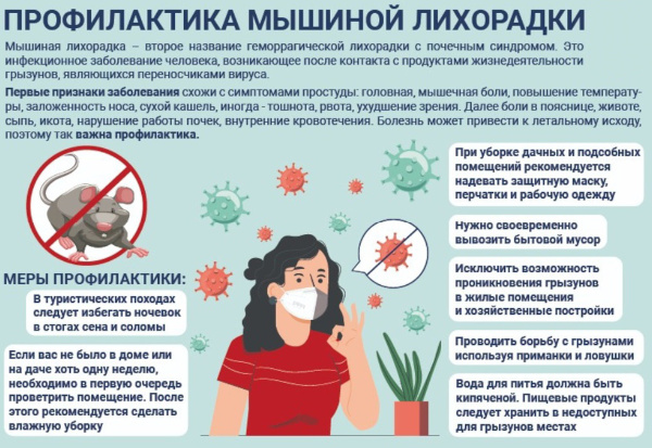 Симптомы мышиной лихорадки у детей 2-6-12 лет