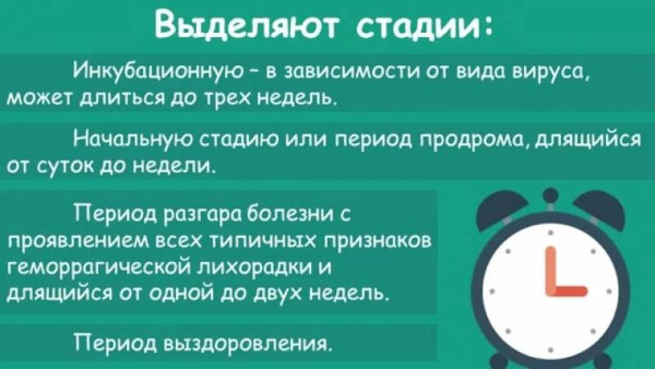 Симптомы мышиной лихорадки у детей 2-6-12 лет