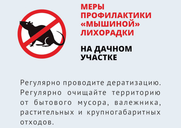 Симптомы мышиной лихорадки у детей 2-6-12 лет