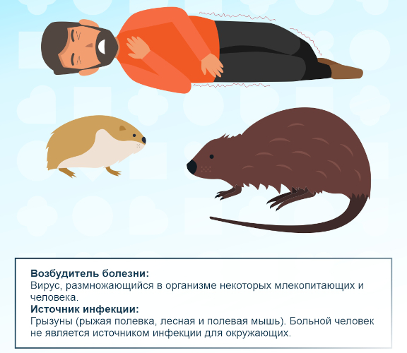 Симптомы мышиной лихорадки у детей 2-6-12 лет