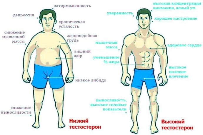 Снижение либидо у мужчин. Что это, причины, лечение
