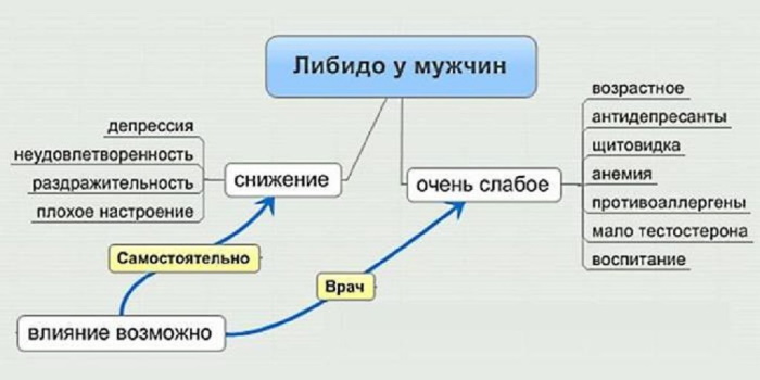Снижение либидо у мужчин. Что это, причины, лечение