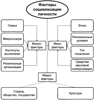 Социализация в психологии. Что это такое, этапы, факторы, стадии, виды, механизмы, функции