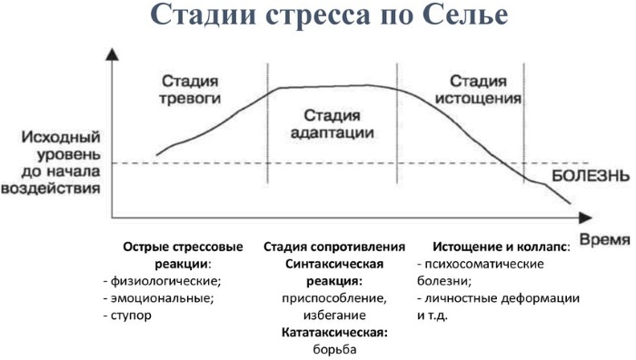 Стадии стресса в психологии. Что это такое по Селье, Торсунову, характеристика