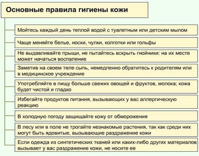 Сыпь при инфекционных заболеваниях. Виды, диагностика, как отличить у детей, взрослых, как лечить