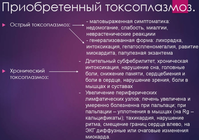 Токсоплазмоз у женщин. Симптомы и лечение