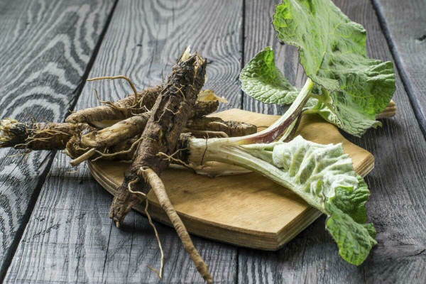 Травы для снижения сахара в крови. Список при сахарном диабете