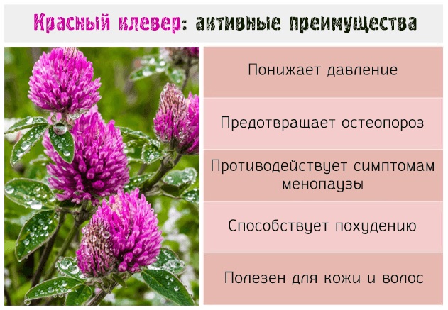 Травы при климаксе при приливах, потливости, народные средства