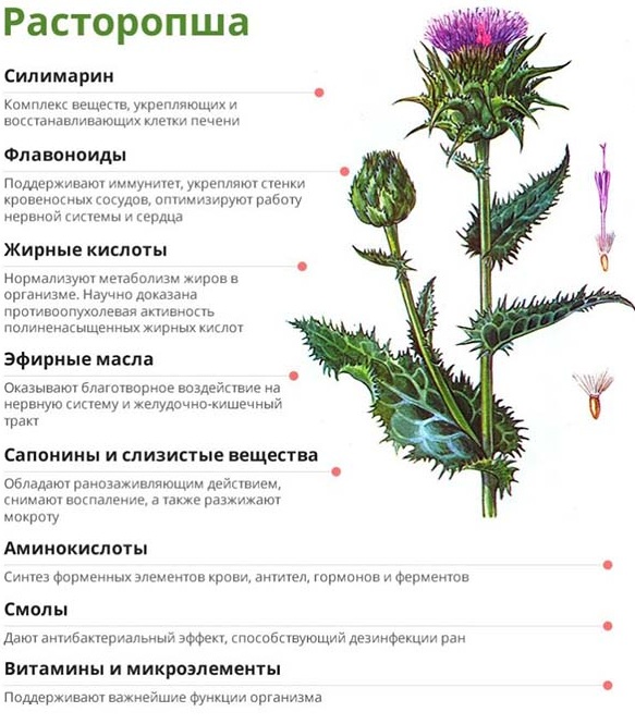 Травы при климаксе при приливах, потливости, народные средства
