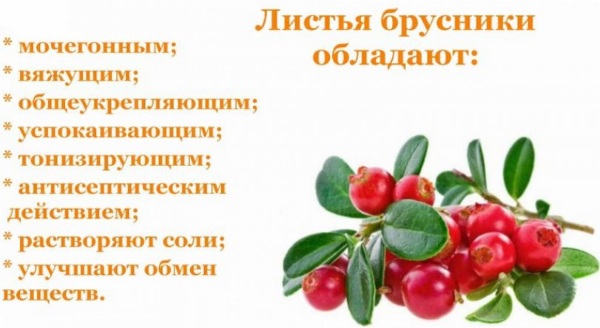 Травы при климаксе при приливах, потливости, народные средства
