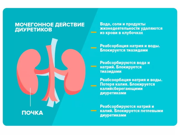 Цистон при цистите у женщин. Инструкция по применению, цена, отзывы