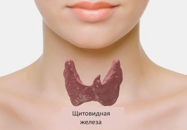 ТТГ низкий Т4 высокий. Диагноз, что это значит, как лечить