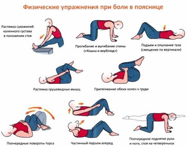 Упражнения (ЛФК) при протрузии поясничного отдела позвоночника