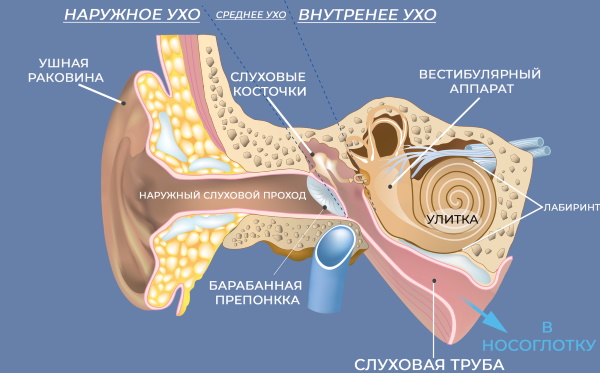 Как удалить воду из уха после бассейна, купания, промывания носа