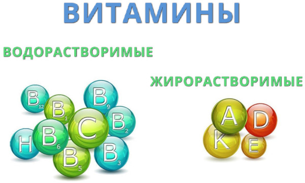 Витрум или Компливит: что лучше для женщин