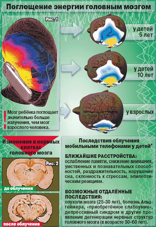 Влияние телефона, сотовой связи на организм человека, здоровье