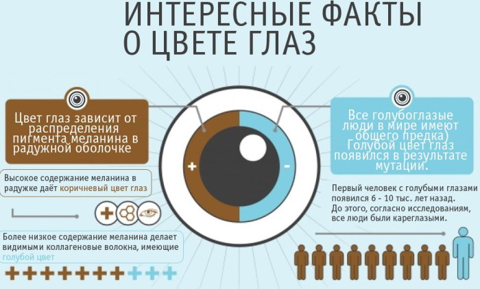 Янтарный цвет глаз у человека от природы. Фото