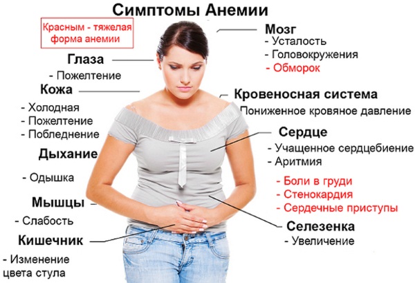 Аскорутин при месячных. Чем помогает, как принимать