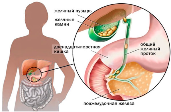 Как принимать Аевит взрослым в капсулах. Инструкция для профилактики, кожи лица, волос, ногтей, глаз