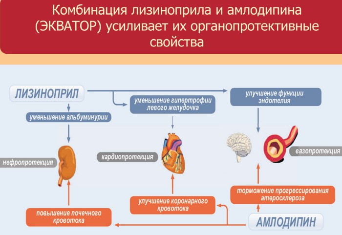 Амлодипин и Лизиноприл вместе можно принимать? Схема приема