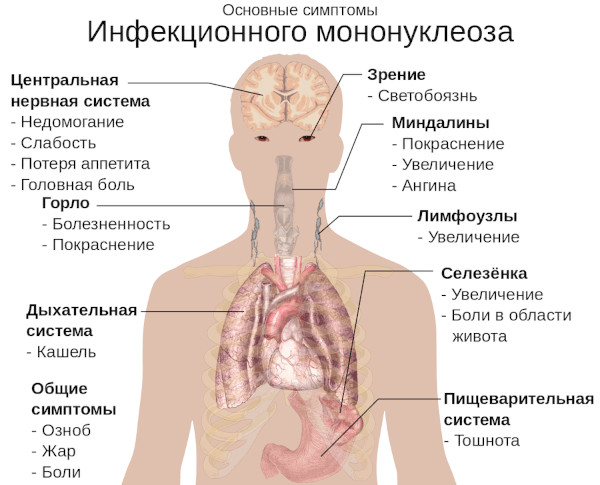 Амоксиклав или Азитромицин. Что лучше, эффективнее, разница